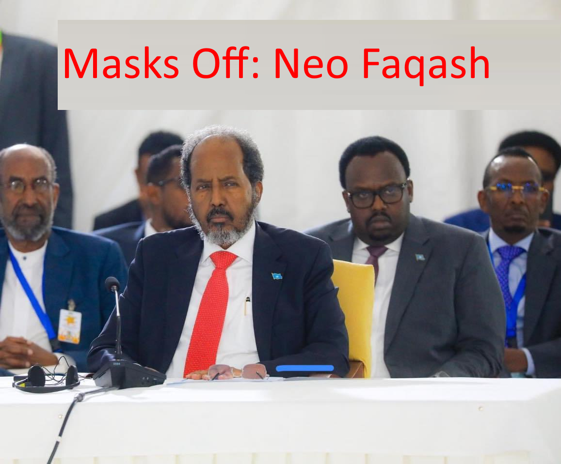 26. The New Faqash A Critical Look At Somalias Political Choices With Somaliland